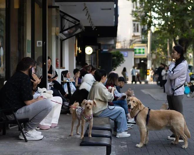 弃了双11爱上了“老年严选”AG真人娱乐这届脆皮年轻人抛(图12)